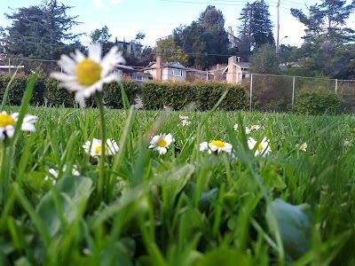 Chabot Recreation Center photo 4