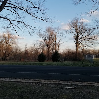 Chamounix Field photo 2