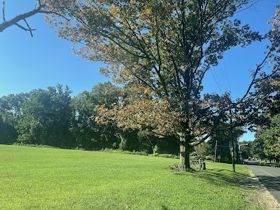 Chamounix Field photo 4