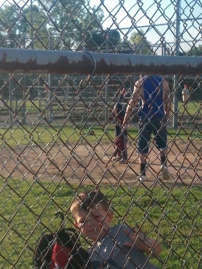 Chandler Park Baseball Fields photo 3