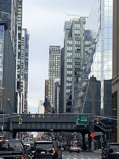 Chelsea Park photo 5