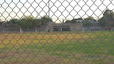 Cherry Field photo 2