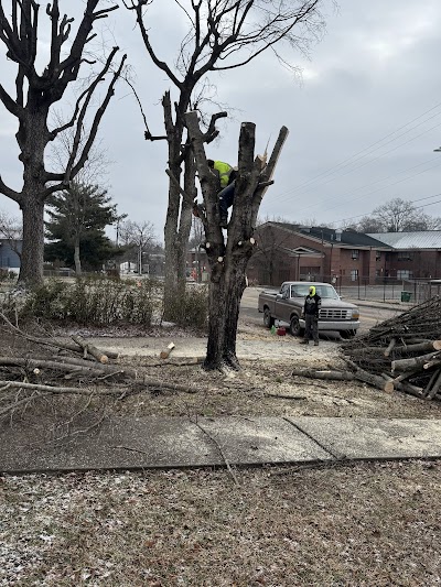 Christenberry Ballfields photo 4