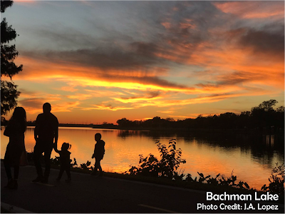 City Of Dallas Park and Recreation