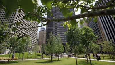 City Of Dallas Park and Recreation photo 5