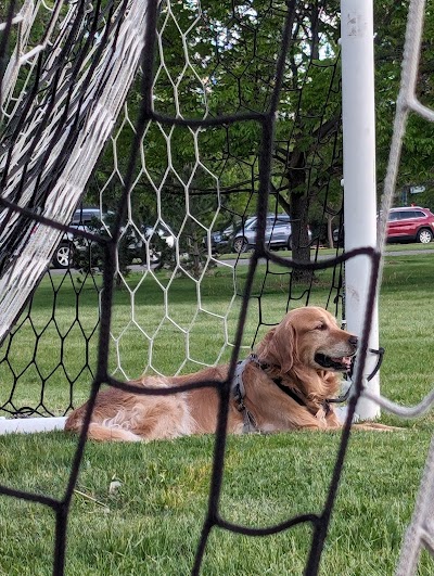 City Park - Athletic Fields photo 2