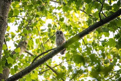 Clermont Park photo 2