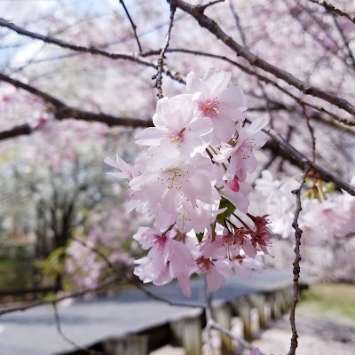 Clermont Park photo 3