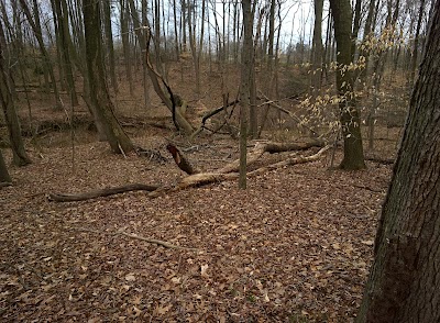 Clermont Park photo 5
