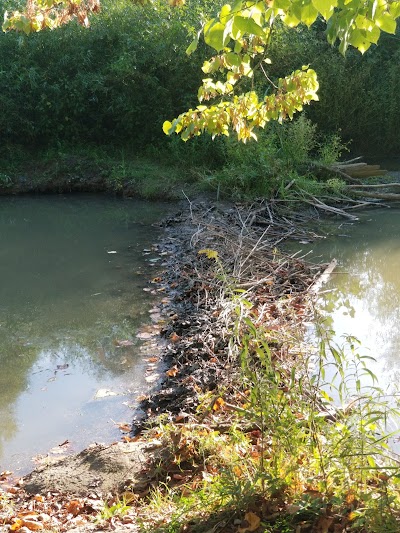 Cleveland Metroparks Hinckley Reservation South Ball Field photo 4