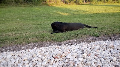 Cleveland Youth Baseball Fields photo 5