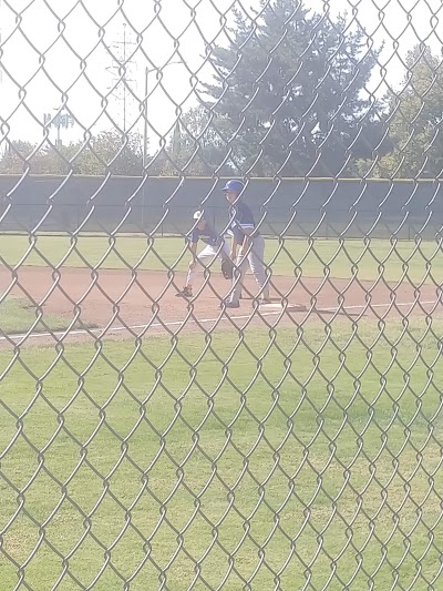 College Glen Little League photo 5