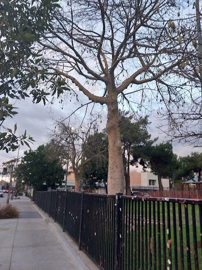 Culver City Little League photo 2