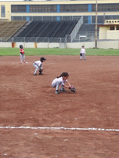 Curt Flood Field photo 2