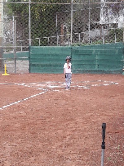 Curt Flood Field photo 3