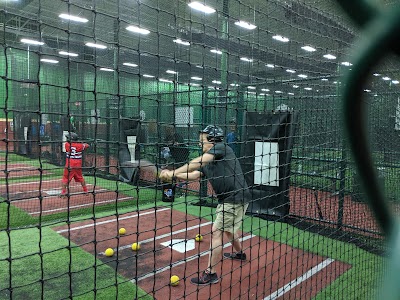 D-BAT Austin photo 3