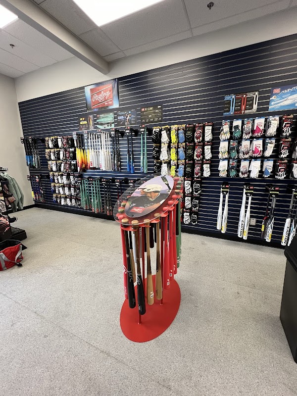 D-BAT Paradise photo 2