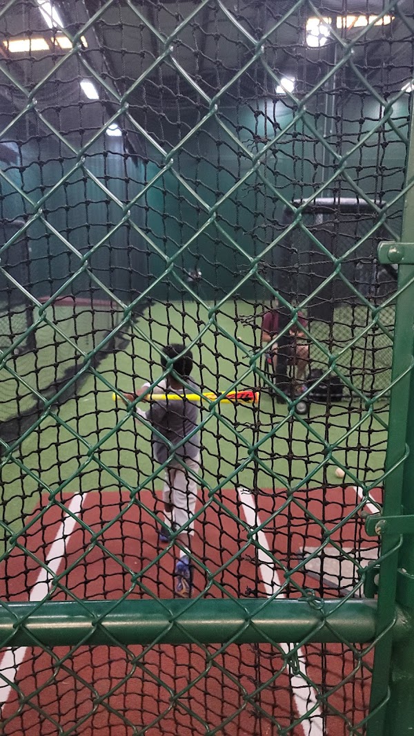 D-BAT San Antonio North photo 4