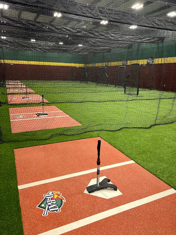 D-BAT Sugar Land photo 3