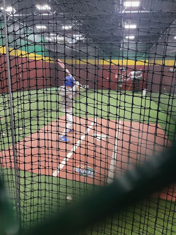 D-BAT Zionsville photo 3