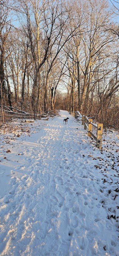 Dairy Field 4 photo 2