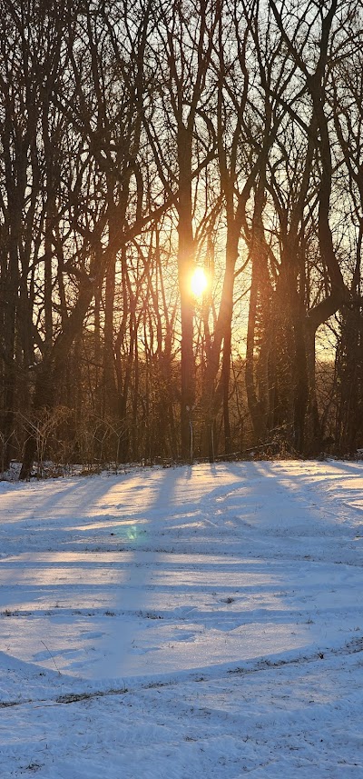 Dairy Field 4 photo 5