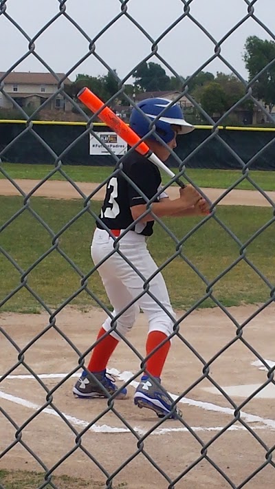 Damato Park Baseball Fields photo 2