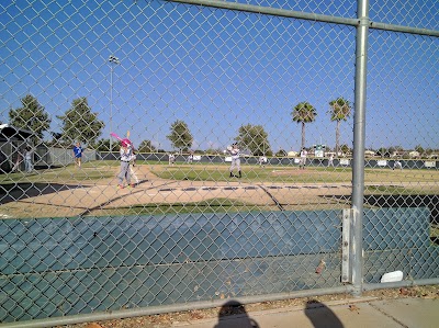 Damato Park Baseball Fields photo 3