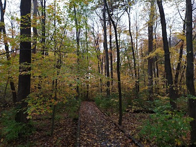 Darree Fields photo 5