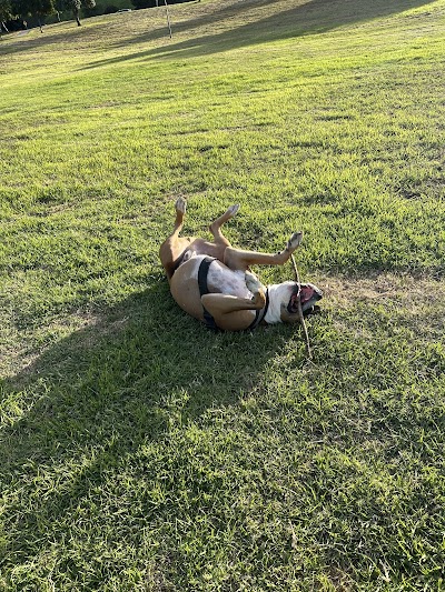De Portola Baseball Field photo 3