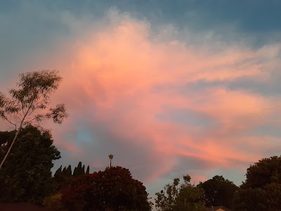 De Portola Baseball Field photo 4