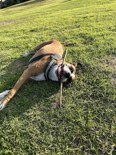 De Portola Baseball Field photo 5