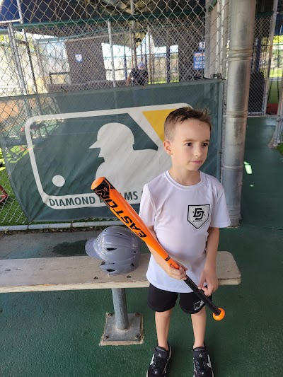 Diamond Dreams Miami photo 2