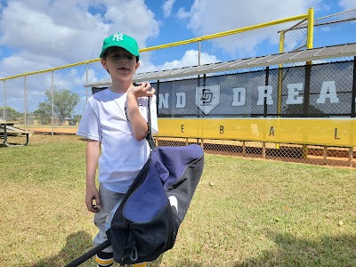 Diamond Dreams Miami photo 5