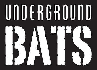 Diamond Sports Academy || Home of Club D1 photo 3