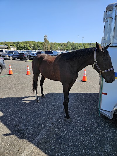 Diamonds at Arrowhead Park photo 5