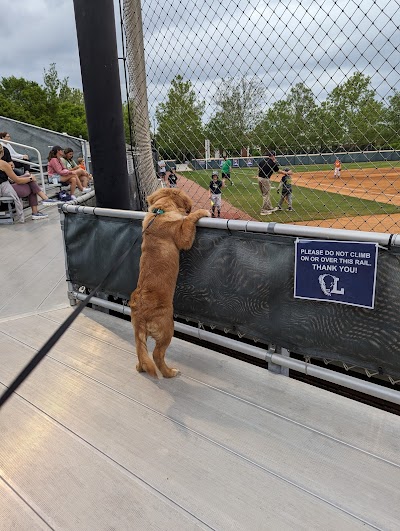 Draper Diamond photo 2