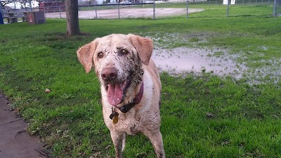 East Clairemont Athletic Area photo 5