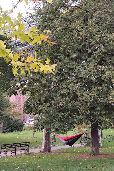 East River Park Field #3 photo 3