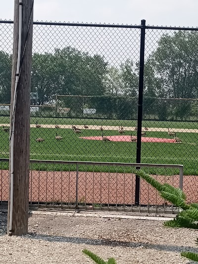 East Side Little League Senior Field photo 3