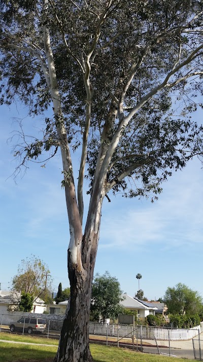 East Valley Youth Baseball photo 4