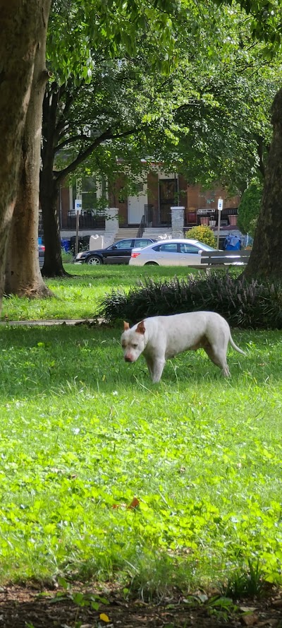 Edgely Ultimate Fields photo 2