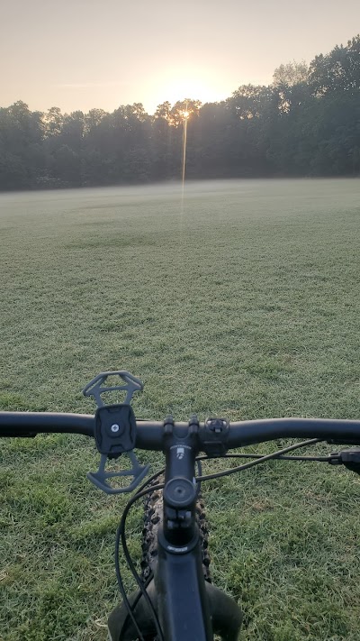 Edgely Ultimate Fields photo 4