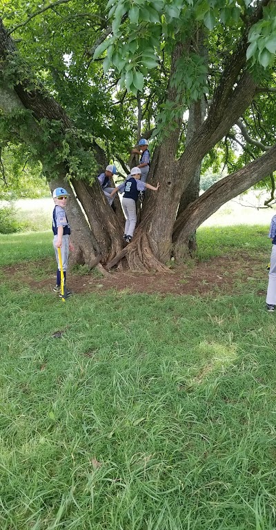 Edwin Warner Baseball Fields 3&4 photo 2