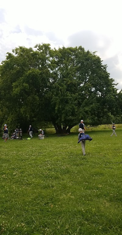 Edwin Warner Baseball Fields 3&4 photo 5