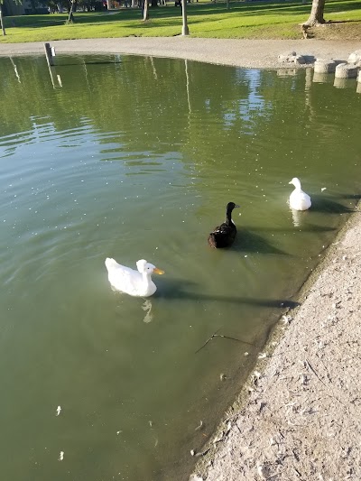 El Dorado Park West photo 4