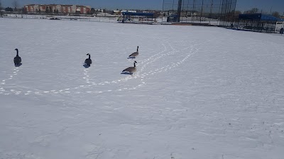 Elliot's field photo 5