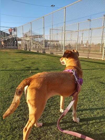 Elm Creek Playfield photo 4