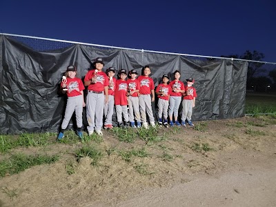 Elmjack Little League photo 5