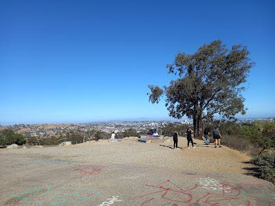 Elysian Fields photo 3